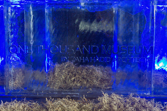 20141205_1000_Museum_GB_Basel_AL1B7217