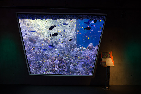 20170508_Science_Museum_9C7C5355