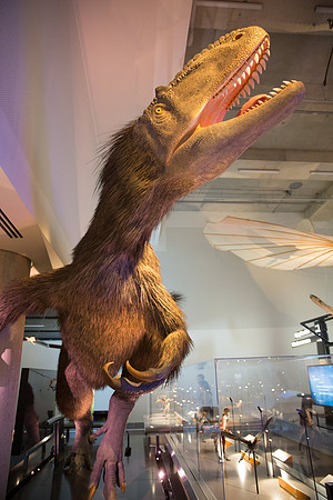 20170508_Science_Museum_9C7C5689