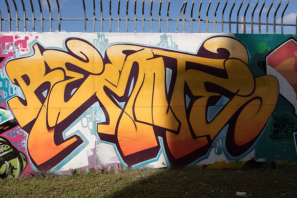 20161108_Wynwood_S5D3028