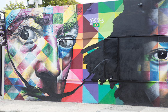 20161108_Wynwood_H5D2969
