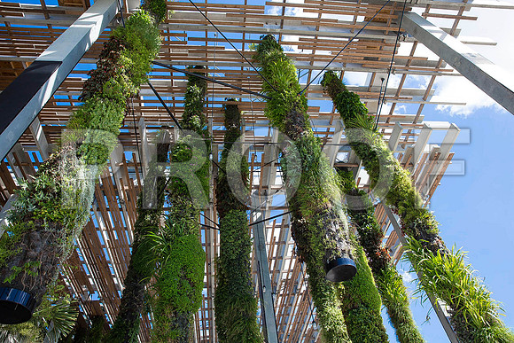 20140801_Pamm_9C7C7900