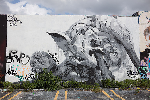 20161108_Wynwood_S5D3211