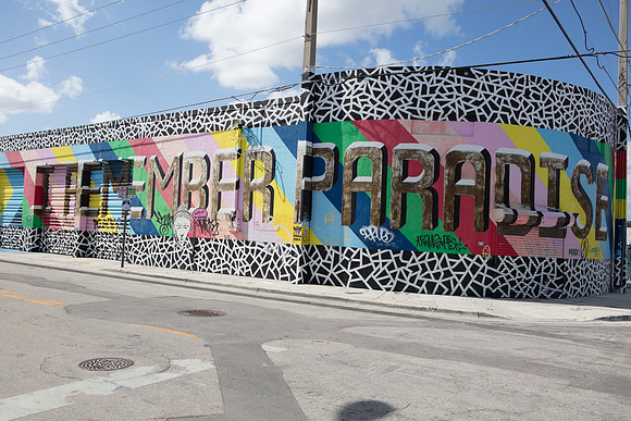 20161108_Wynwood_H5D2811