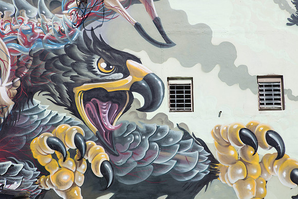 20161108_Wynwood_H5D2862