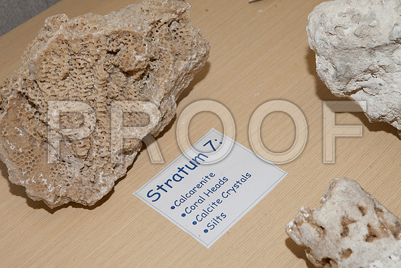 20120330_93761