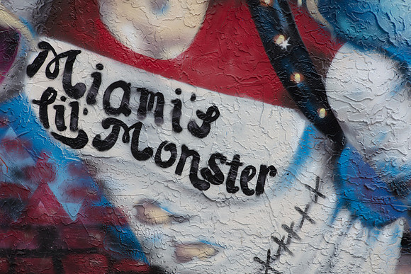 20161108_Wynwood_H5D2983