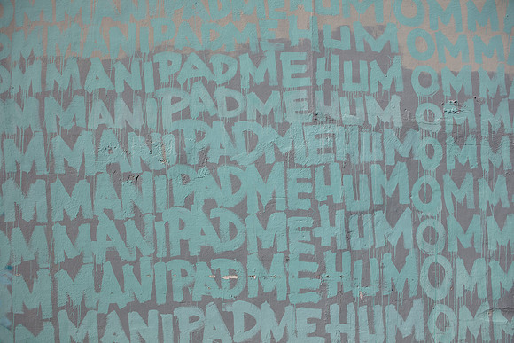 20161108_Wynwood_H5D2720