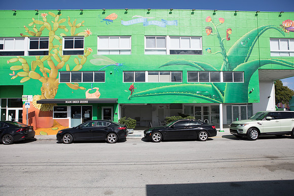20161108_Wynwood_H5D2845