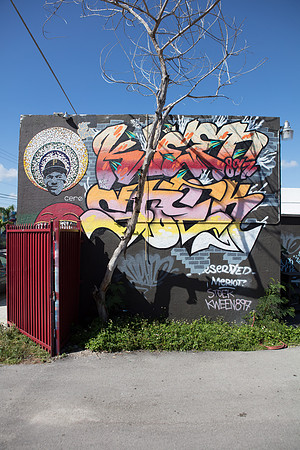 20161108_Wynwood_H5D2684