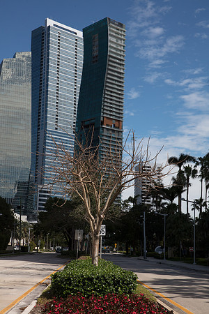 20180130_Echo_Brickell_Moriarty_75A7320