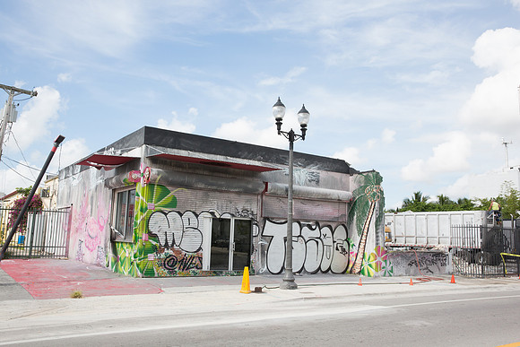 20160708_Wynwood_14_Ave_Demo_9C7C0017