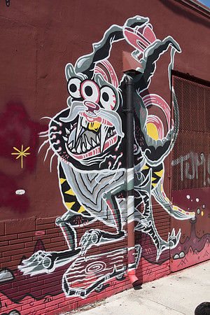 20161108_Wynwood_H5D2820