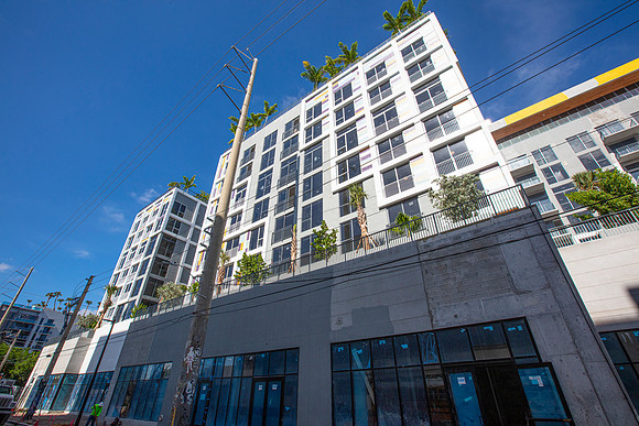 20231127_AMILI_Wynwood_Moriarty_MG_8850