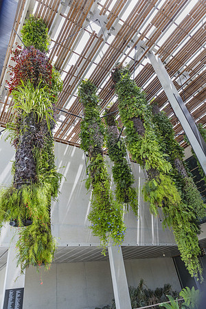 20150707_Pamm_9C7C3450