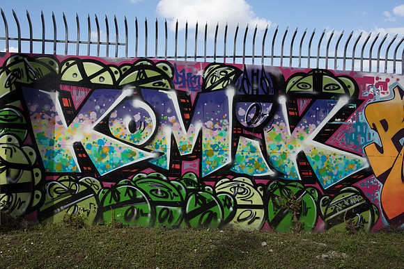20161108_Wynwood_S5D3029