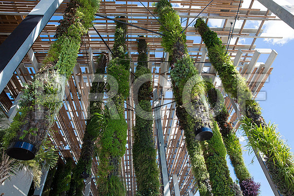 20140801_Pamm_9C7C7899