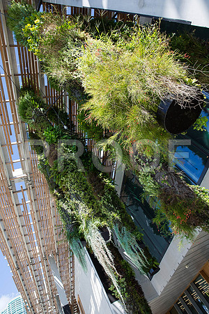 20140801_Pamm_9C7C7885