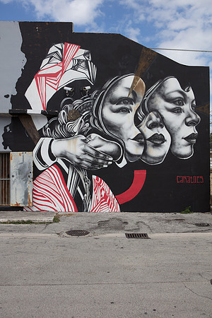 20161108_Wynwood_H5D2956