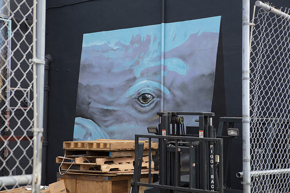 20161108_Wynwood_H5D2946