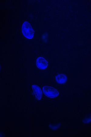 20170508_Science_Museum_9C7C5587
