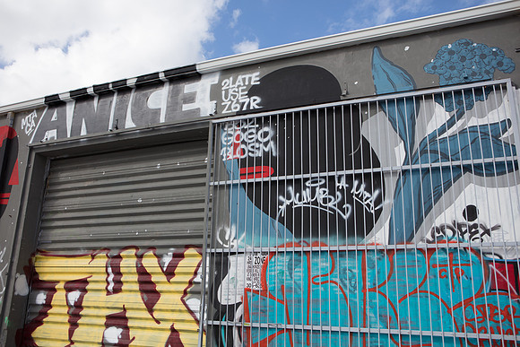 20161108_Wynwood_S5D3113