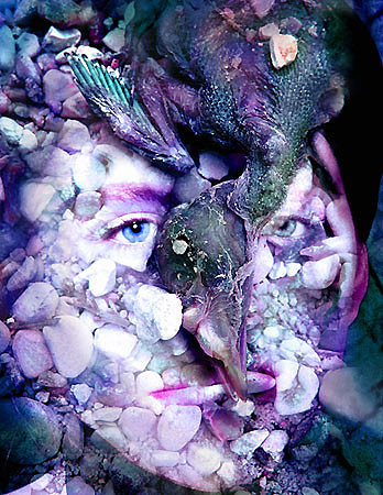 61©Leidmann-Tox121  70x50cm
