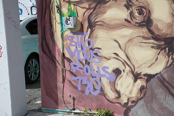 20161108_Wynwood_S5D3104