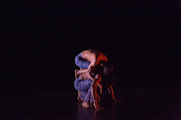 20131220_Ayikodans_Arsht__C7C1474