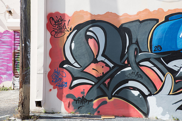 20161108_Wynwood_H5D2883