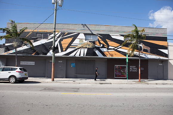 20161108_Wynwood_H5D2740