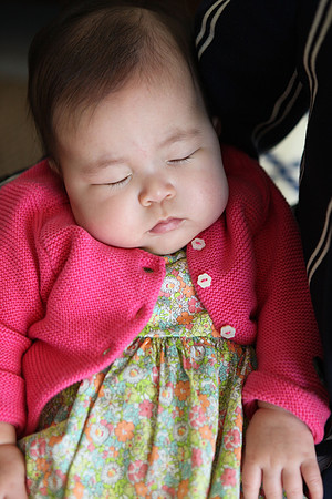 20141123_Rafi_Sharon_IMG_7299