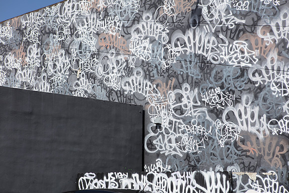 20161108_Wynwood_H5D2899