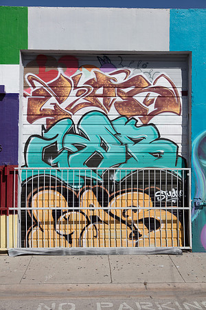 20161108_Wynwood_H5D2701