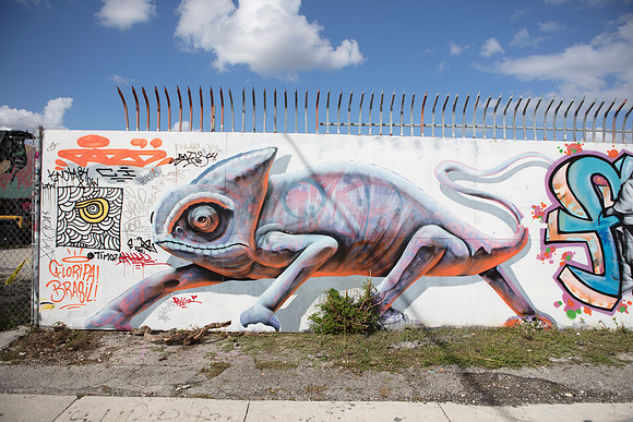 20161108_Wynwood_S5D3045