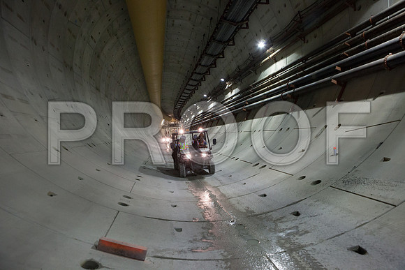 20120330_94592