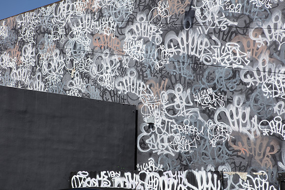 20161108_Wynwood_H5D2900