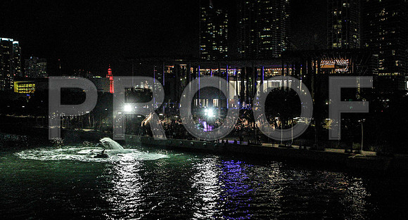 20141204_Pamm_Basel_2014_AL1B6521