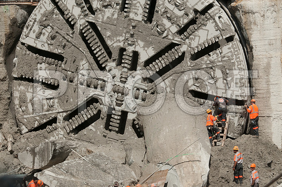 DSC_7991