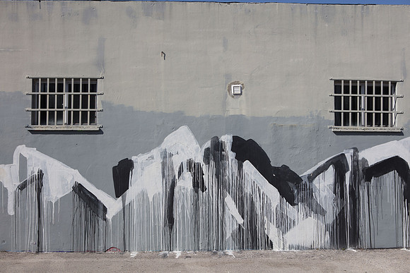 20161108_Wynwood_H5D2725