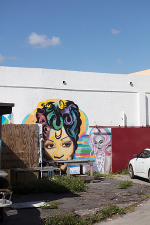 20161108_Wynwood_H5D2688