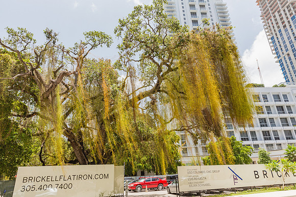 20150701_Brickell_Flatiron_Ugo_Colombo_9C7C0634