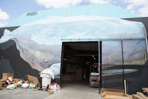 20161108_Wynwood_H5D2948