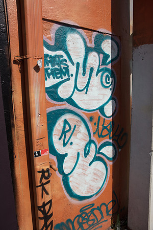 20161108_Wynwood_H5D2866