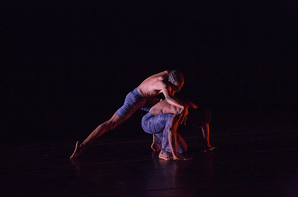 20131220_Ayikodans_Arsht__C7C1469