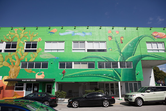 20161108_Wynwood_H5D2841