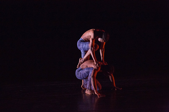 20131220_Ayikodans_Arsht__C7C1470