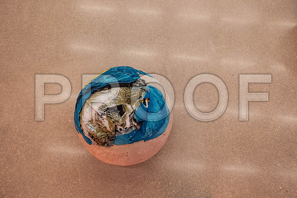20140821_Pamm_Pamm_Museum_IMG_2466
