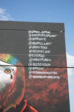 20161108_Wynwood_S5D3178