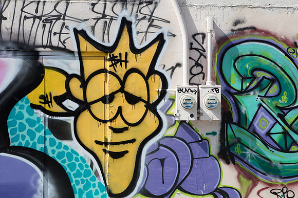 20161108_Wynwood_H5D2895